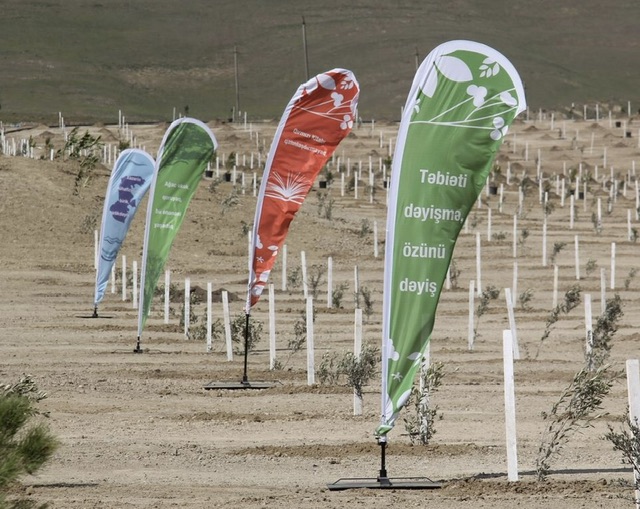 29db9aa5-88b8-41b1-a725-38dc291becdd