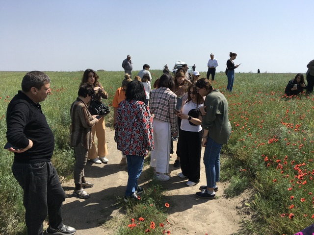 de6013f4-3d51-4f8a-af14-a77d57feb3cf