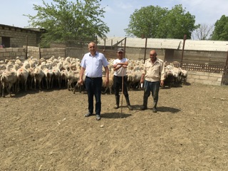 9efe36d7-502a-42ff-9f4d-f7f4ed3c4ca3