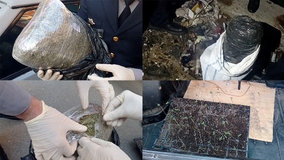 whatsapp-image-2024-05-27-at-16_52_362