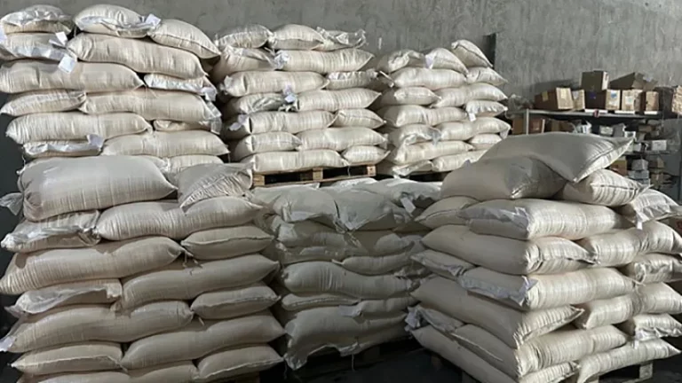 whatsapp image at main