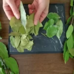 bacdceabacdcebbacdcebacdce