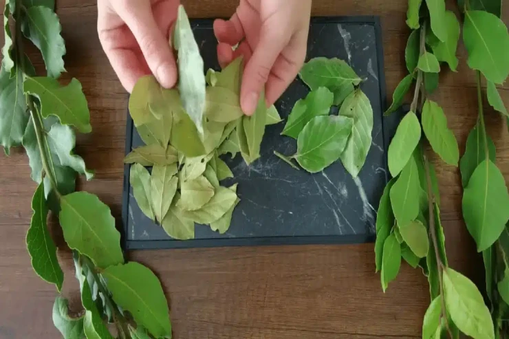 bacdceabacdcebbacdcebacdce