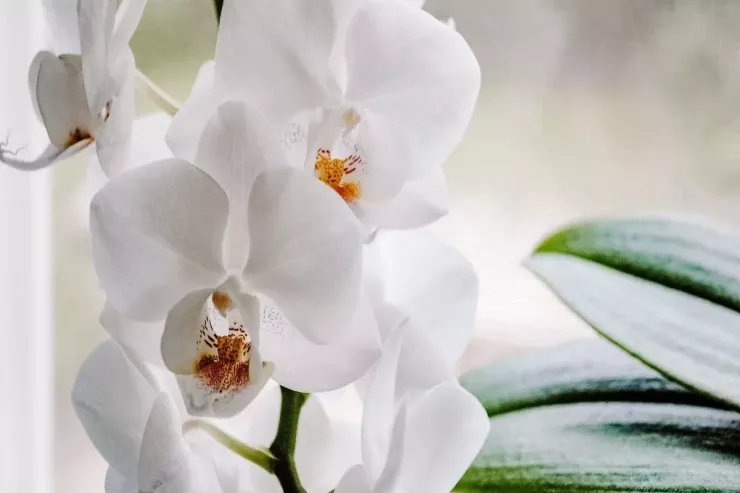 abdacdbfabdacdbfabdacdbfabdacdbf