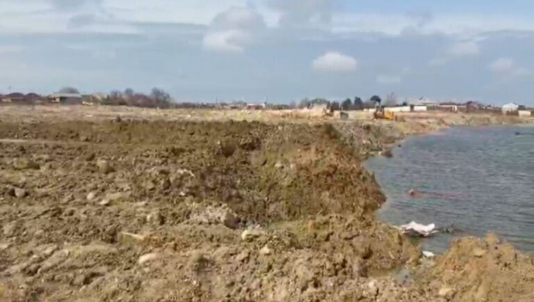 ENQSRNTPGTPdoyaMbaeaLMgPunbEaacRLR