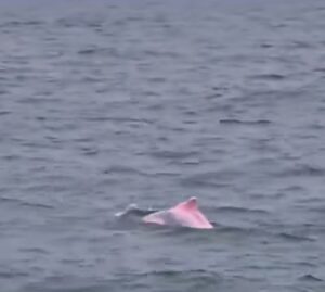 Screenshot Instagram