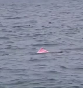 Screenshot Instagram