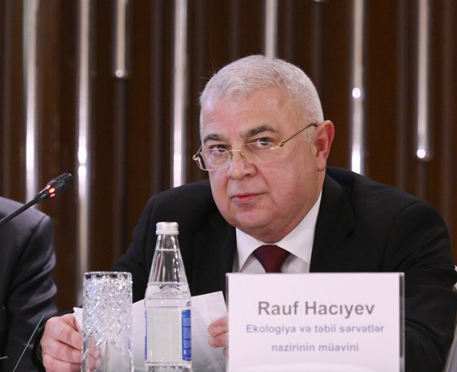 rauf haciyev