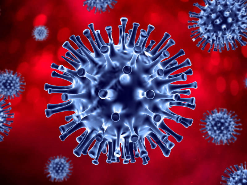 covidvascularhealth sc