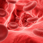 bahceci blog hemofiliya xesteliyi nedir elametleri nelerdir