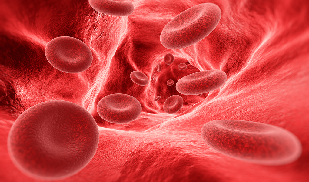 bahceci blog hemofiliya xesteliyi nedir elametleri nelerdir