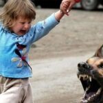 alFqvRKhSPNxYTBJ file