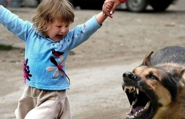 alFqvRKhSPNxYTBJ file