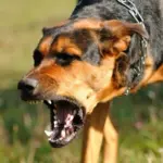 SaRWlaLUrDOdkGMOaZWBfTigBWanvXnKN