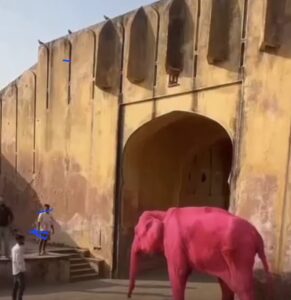 Screenshot Instagram