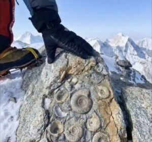 Screenshot Instagram