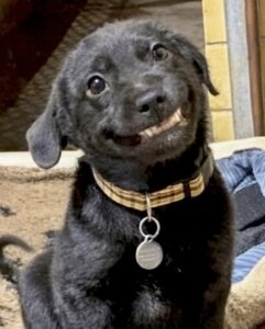 Screenshot Instagram