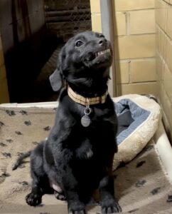 Screenshot Instagram