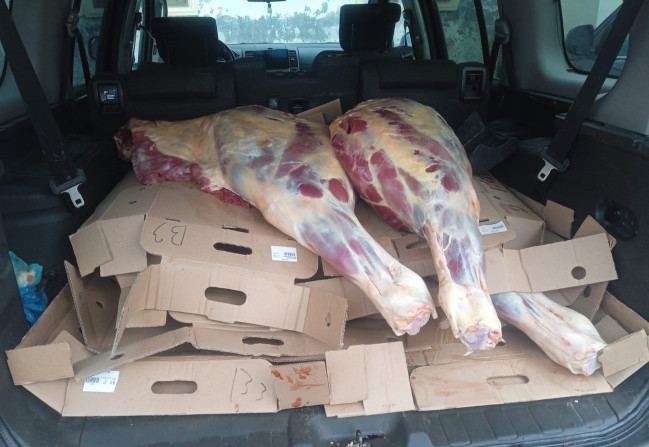 eta yararasiz eta yararasiz