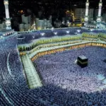 kIdNUrsXjEDUczFlQMdKlJZyqMYyKBTMuoD