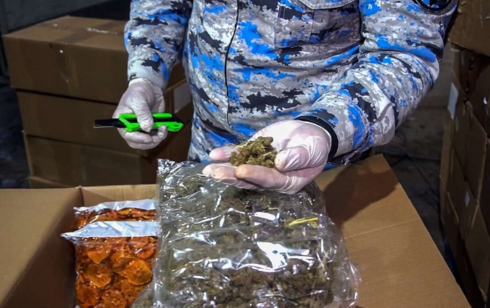 narkotik meyve qurusu