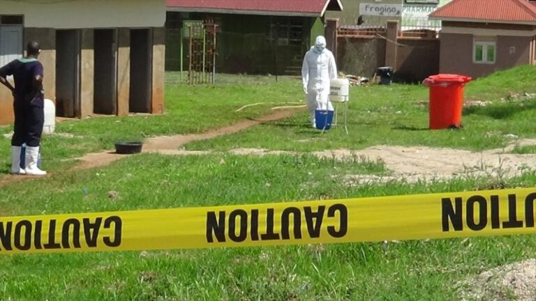 Ebola ()