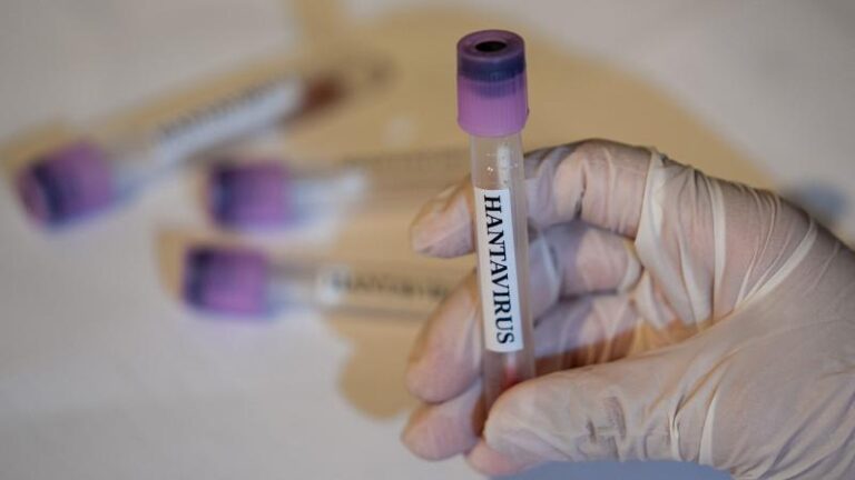 Hantavirus