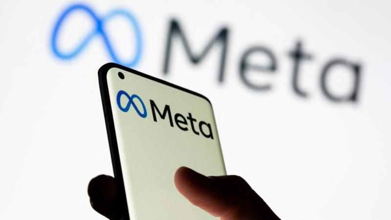 Meta shirketi