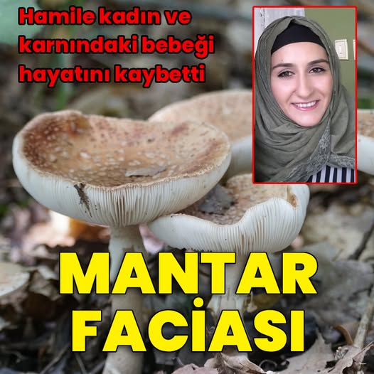 Rüveyda Altuntaş