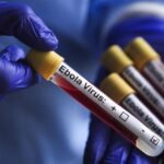 Ebola virus