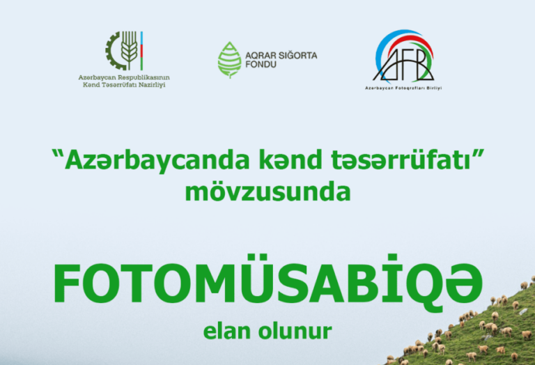 KT mus