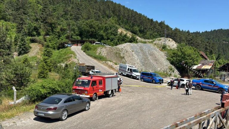 Meden bolu