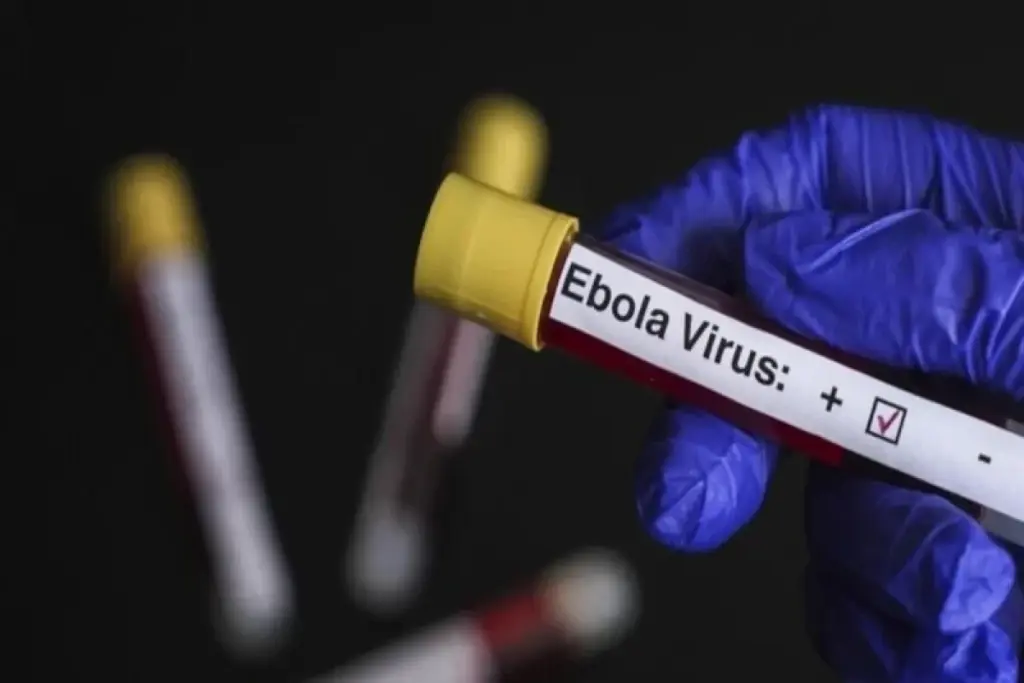 ebola
