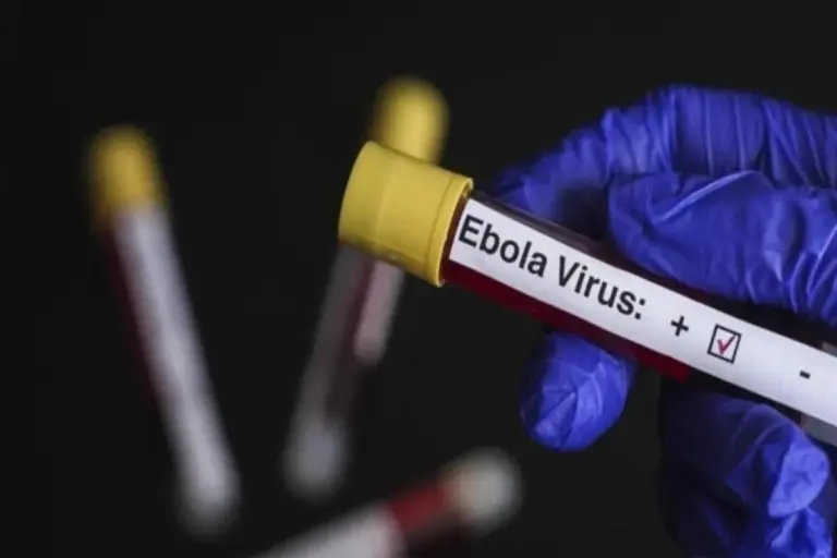 ebola
