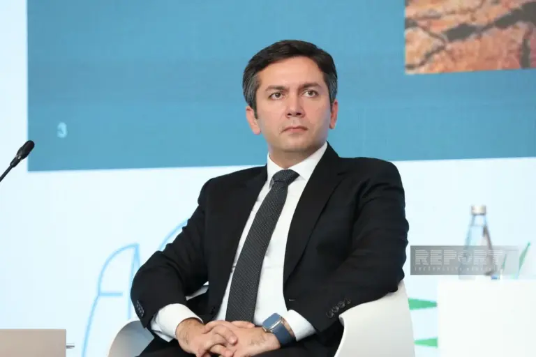 nazir muavini iqlime hessas olkelerin qarshilashdigi problemler artiq tekce iqlim deyishikliyi deyil