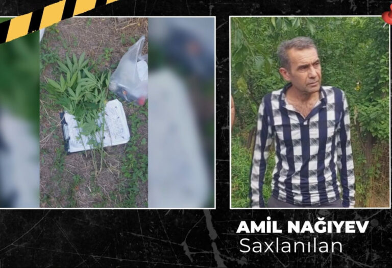 Amil Narko