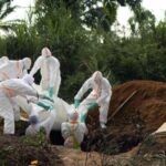 Ebola ()