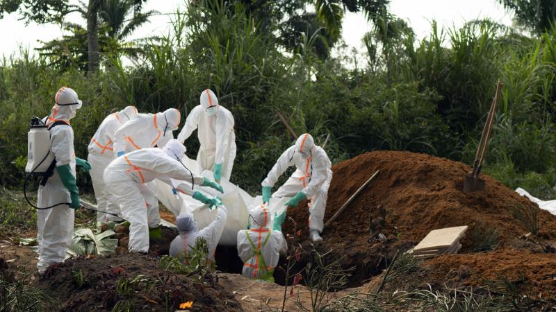 Ebola ()